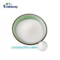 Gluteeniton Lactobacillus Sakei