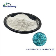 Lyofilisoitu Lactobacillus Paracasei