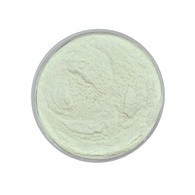 Lactobacillus Reuteri