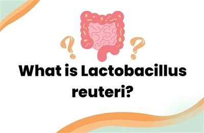 Lactobacillus reuterin rooli